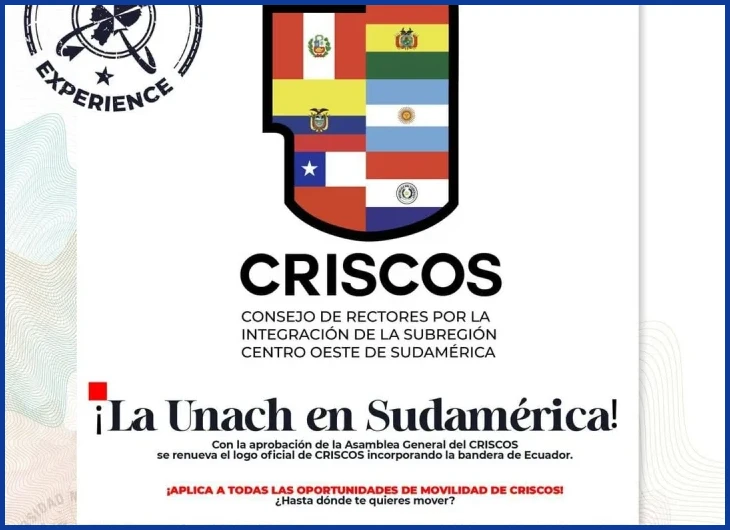 Aspectos prácticos para postularse a vacantes de comercio en Tegucigalpa