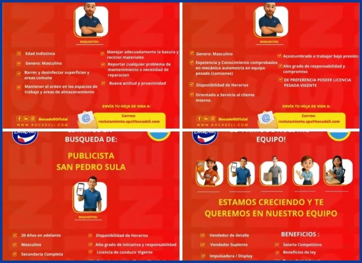 Documentación legal básica: identificación, antecedentes y seguridad social